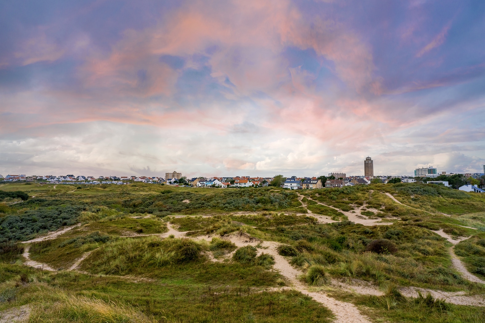 Ondergaande zon over de Amsterdamse Waterleidingduinen