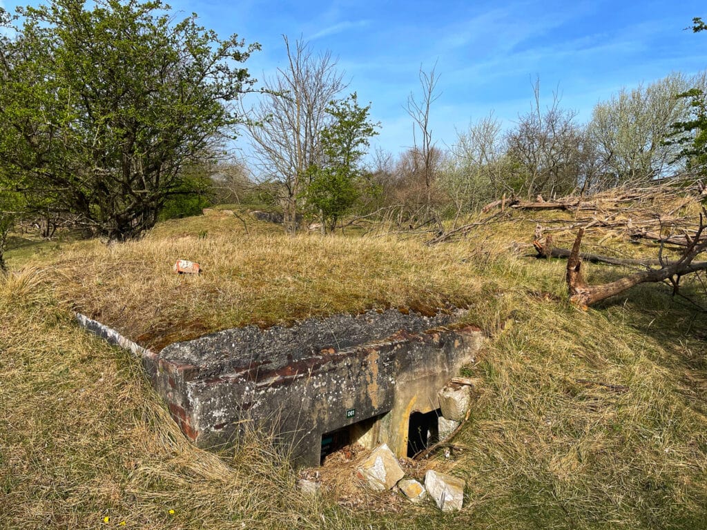 Bunker in de Amsterdamse Waterleidingduinen