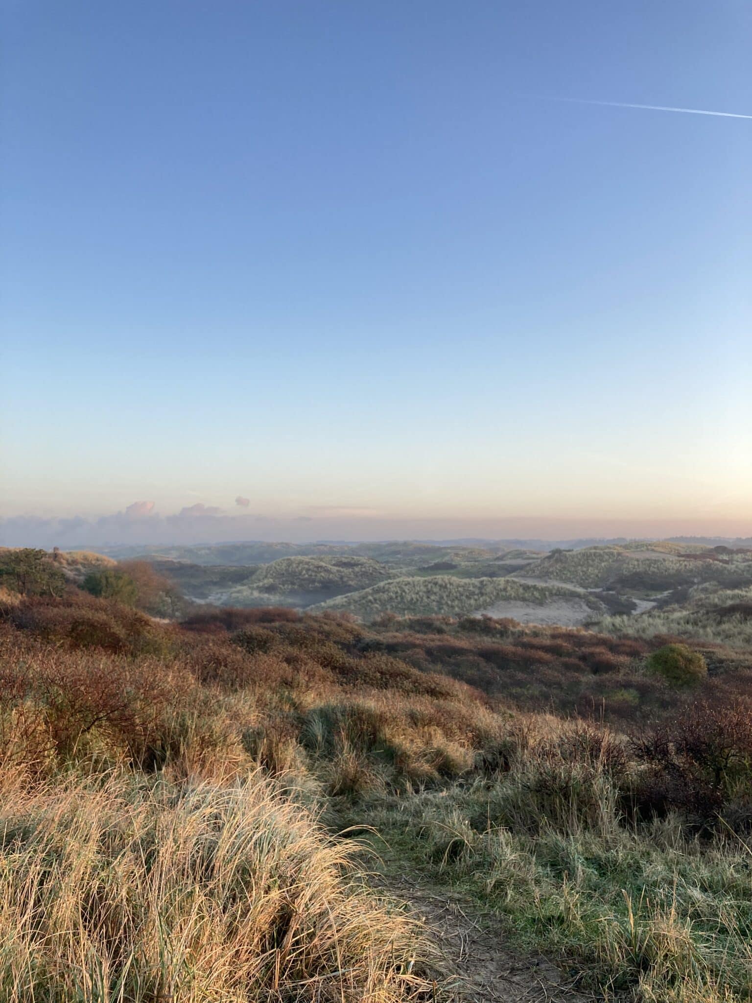 Foto van het landschap in het Nationaal Park Zuid-Kennemerland