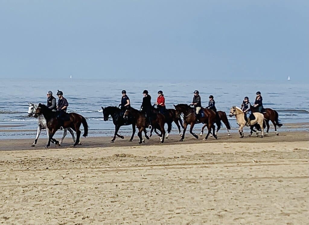 Paardrijden op het strand