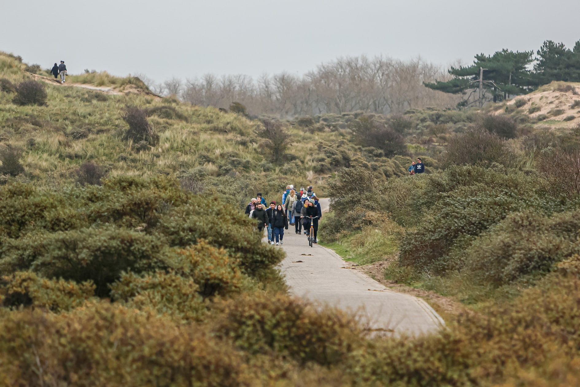 Natuur in Zandvoort: Wandelaars en fietsers op een fiets- en wandelpad in Nationaal park Zuid-Kennemerland
