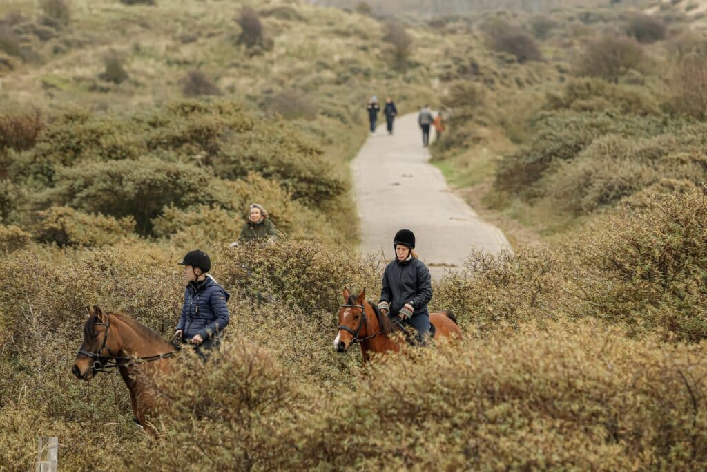 Twee mensen zijn aan het paardrijden in het Nationaal Park Zuid-Kennemerland, met een fietser en wandelaars op de achtergrond.
