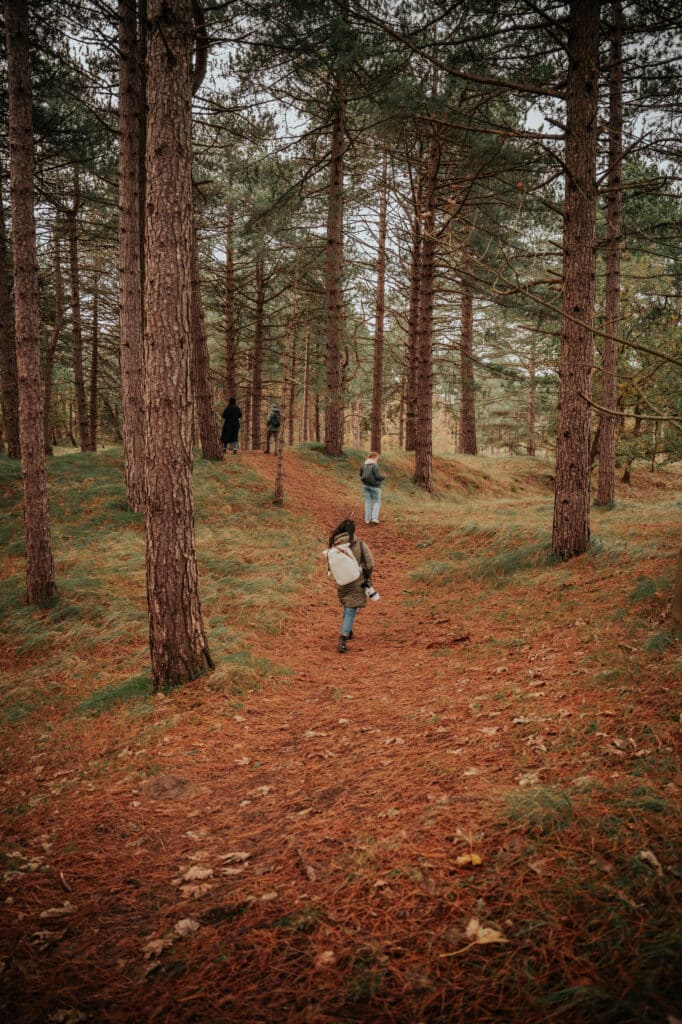 Wandelaars door de bossen en duinen van de Amsterdamse Waterleidingduinen bij Zandvoort