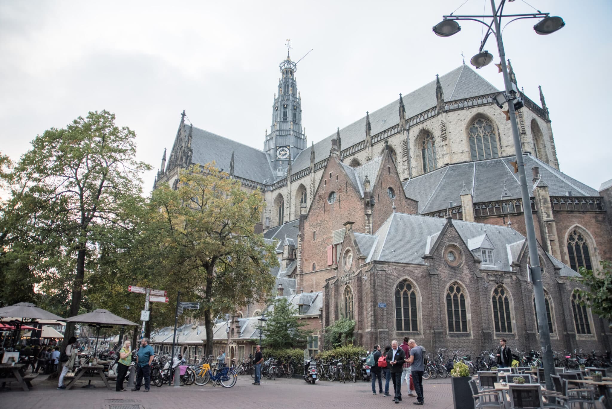 Grote kerk Sint Bavo in Haarlem