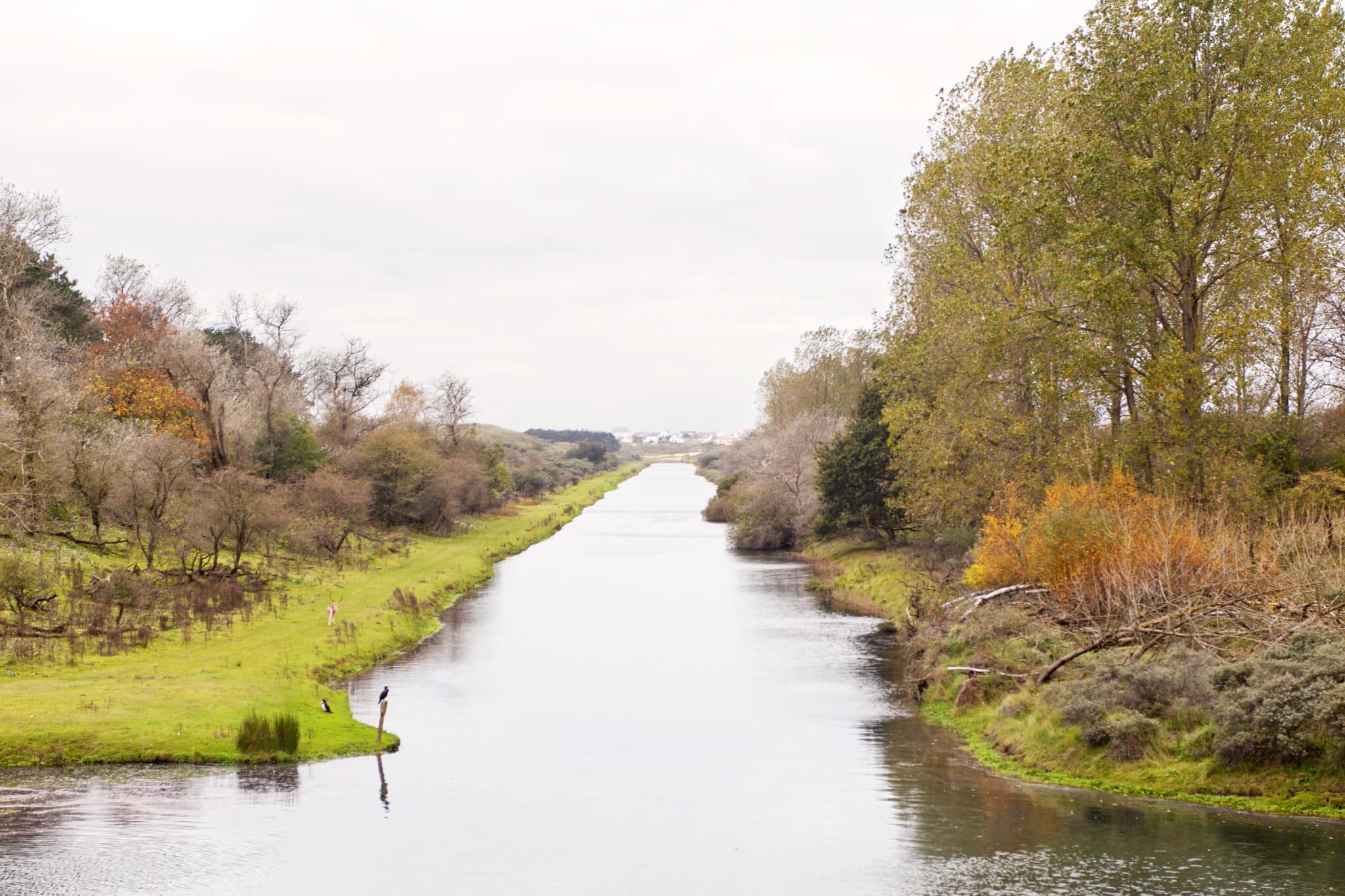 Kanaal in de Waterleidingduinen met uitzicht op Zandvoort in de verte