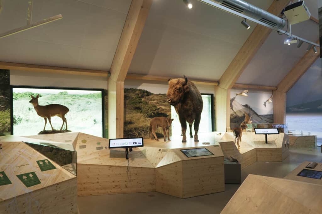 Interieur van bezoekerscentrum De Kennemerduinen Nationaal Park Zuid-Kennemerland