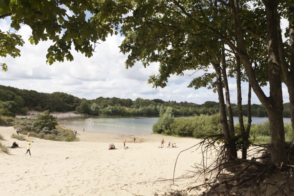 Zwemplas t wed in nationaal park zuid-kennemerland