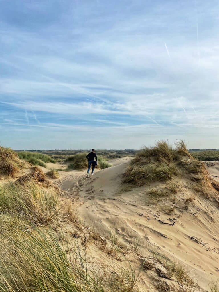 Man wandelend door de zeereep en duinen bij noordvoort