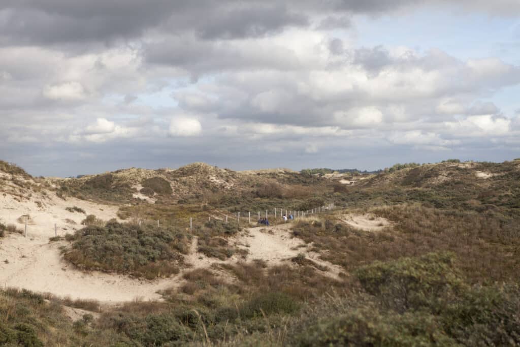 Noordduinen van het Nationaal Park Zuid-Kennemerland