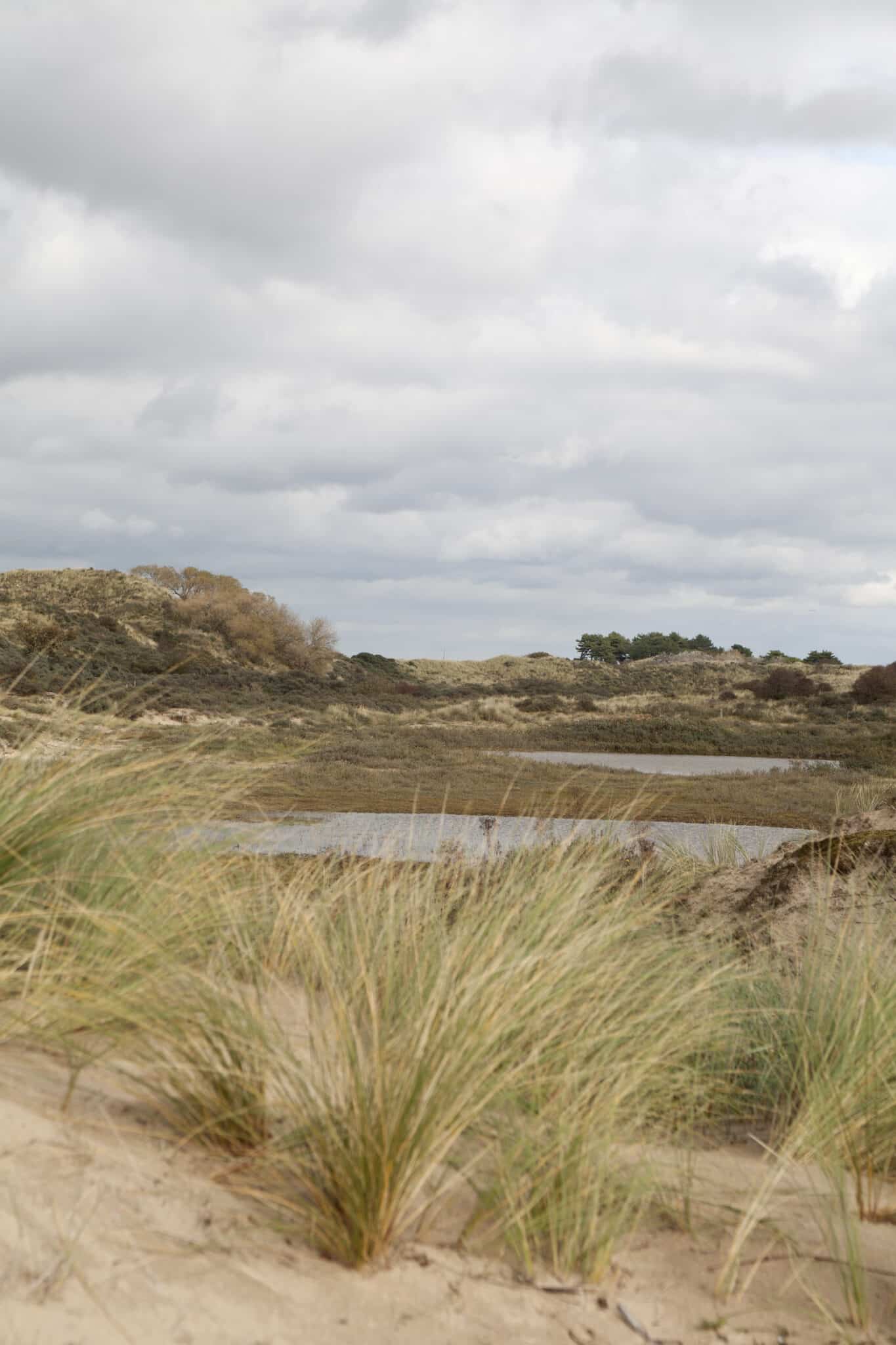 Landschapsfoto van de noordduinen van Nationaal Park Zuid-Kennemerland