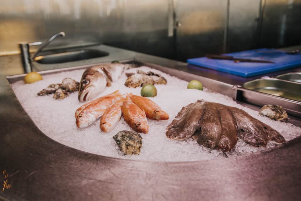 Verse vis bij jaarrond strandpaviljoen Thalassa.