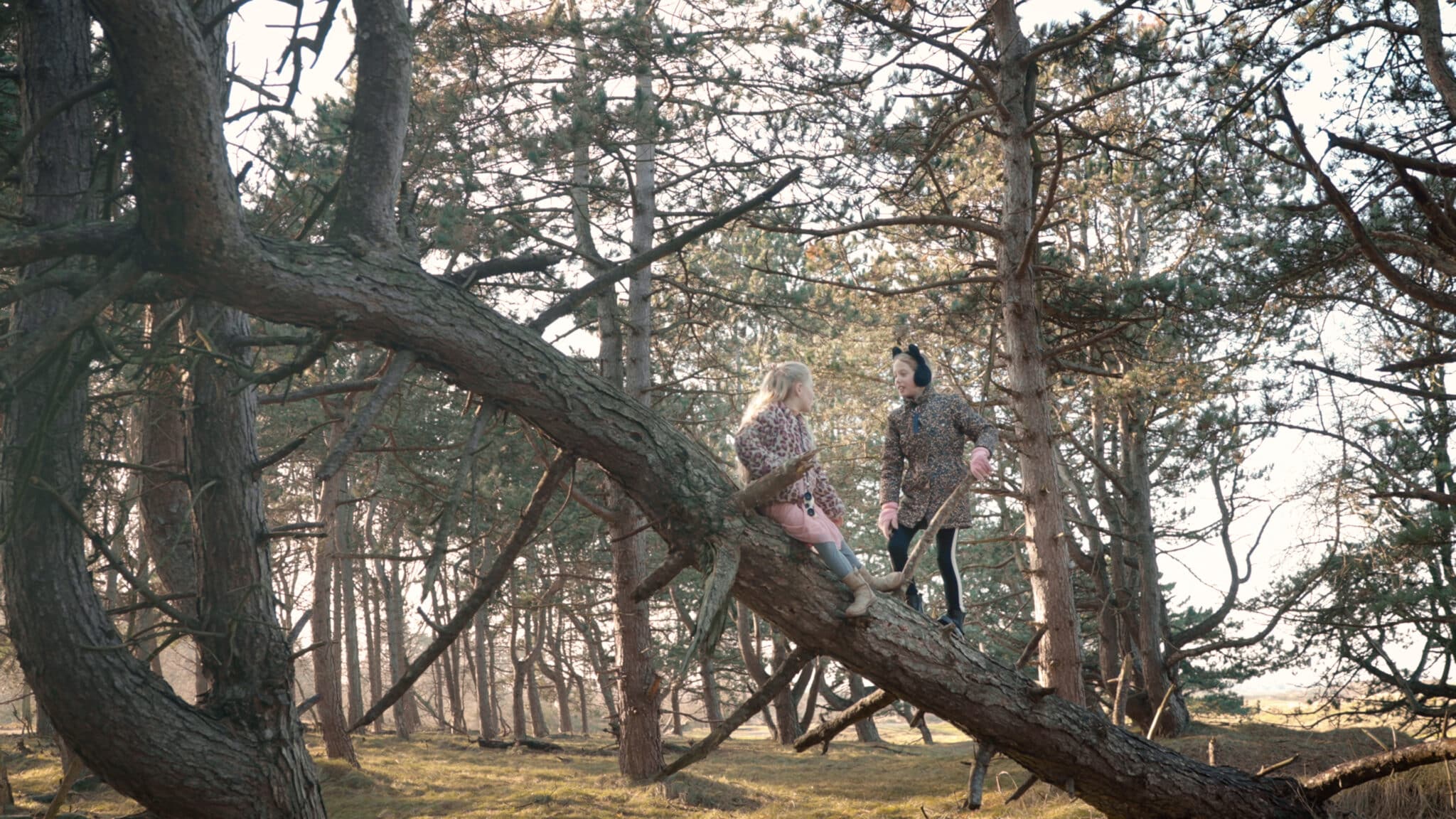 Twee meisjes klimmen in een boom in de Amsterdamse Waterleidingduinen in Zandvoort.