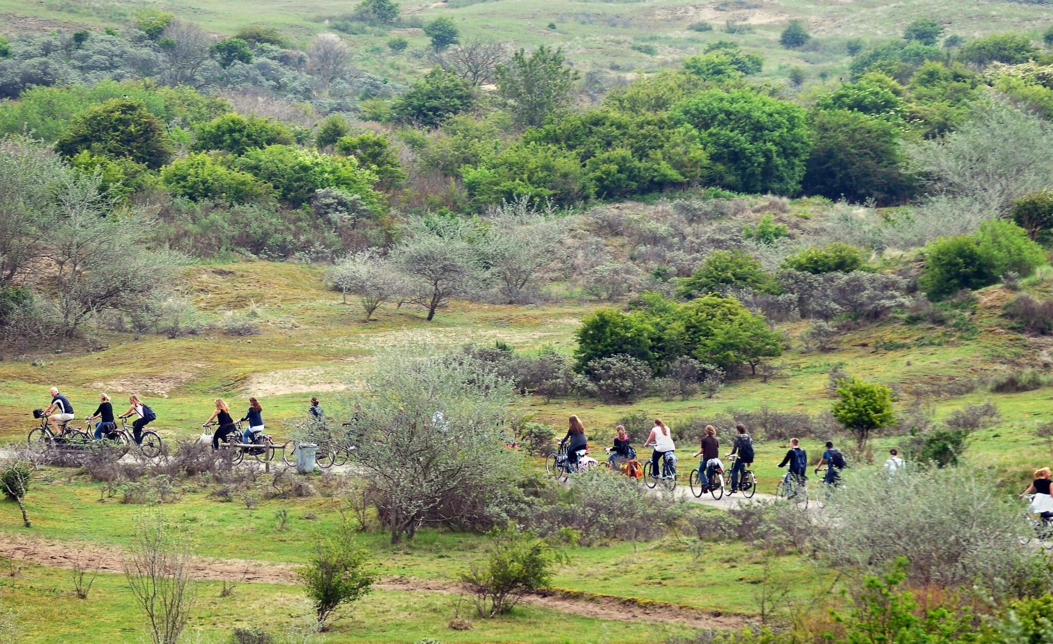 Fietsers door de duinen bij Zandvoort