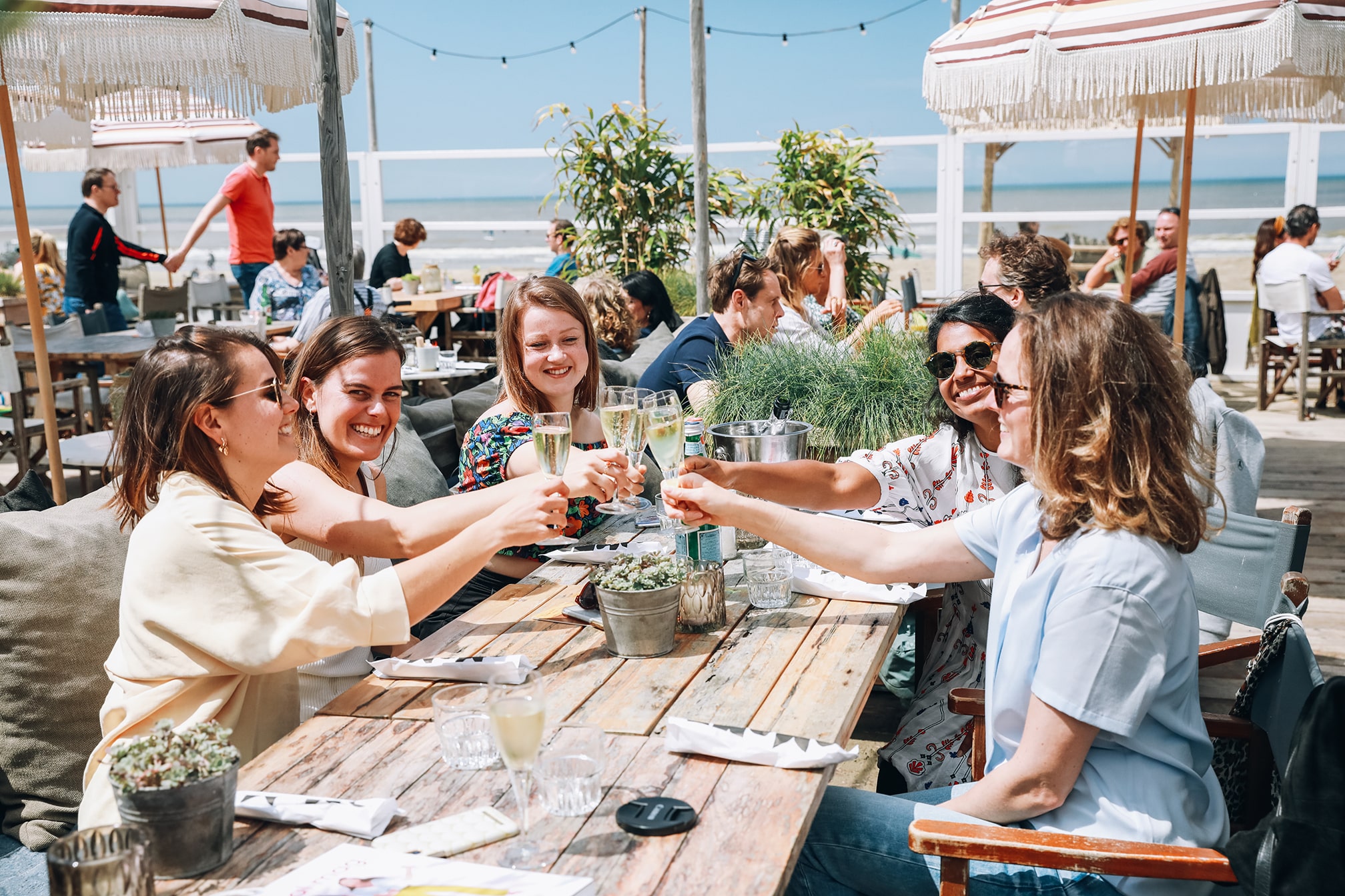 5 vriendinnen toasten op het terras van Hippie Fish Zandvoort