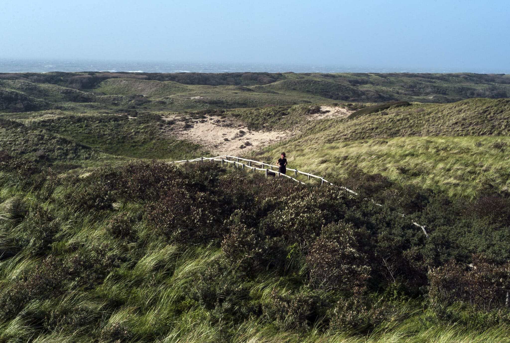 Hardlopen door de duinen van Nationaal Park Zuid-Kennemerland.