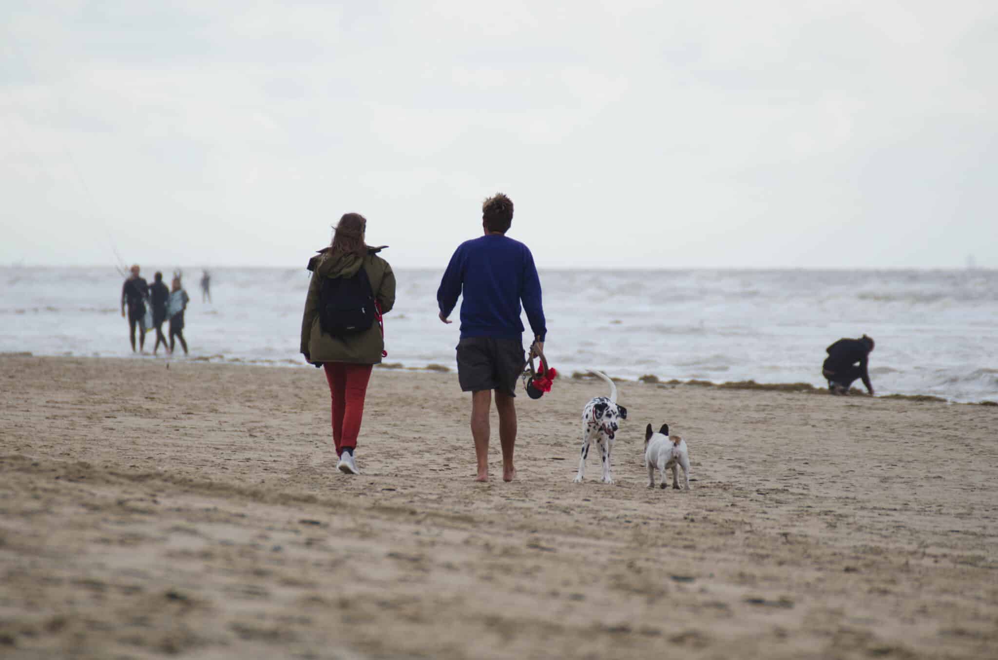 Een man en vrouw wandelen samen met hun dalmatier hond langs het strand, met de zee op de achtergrond.