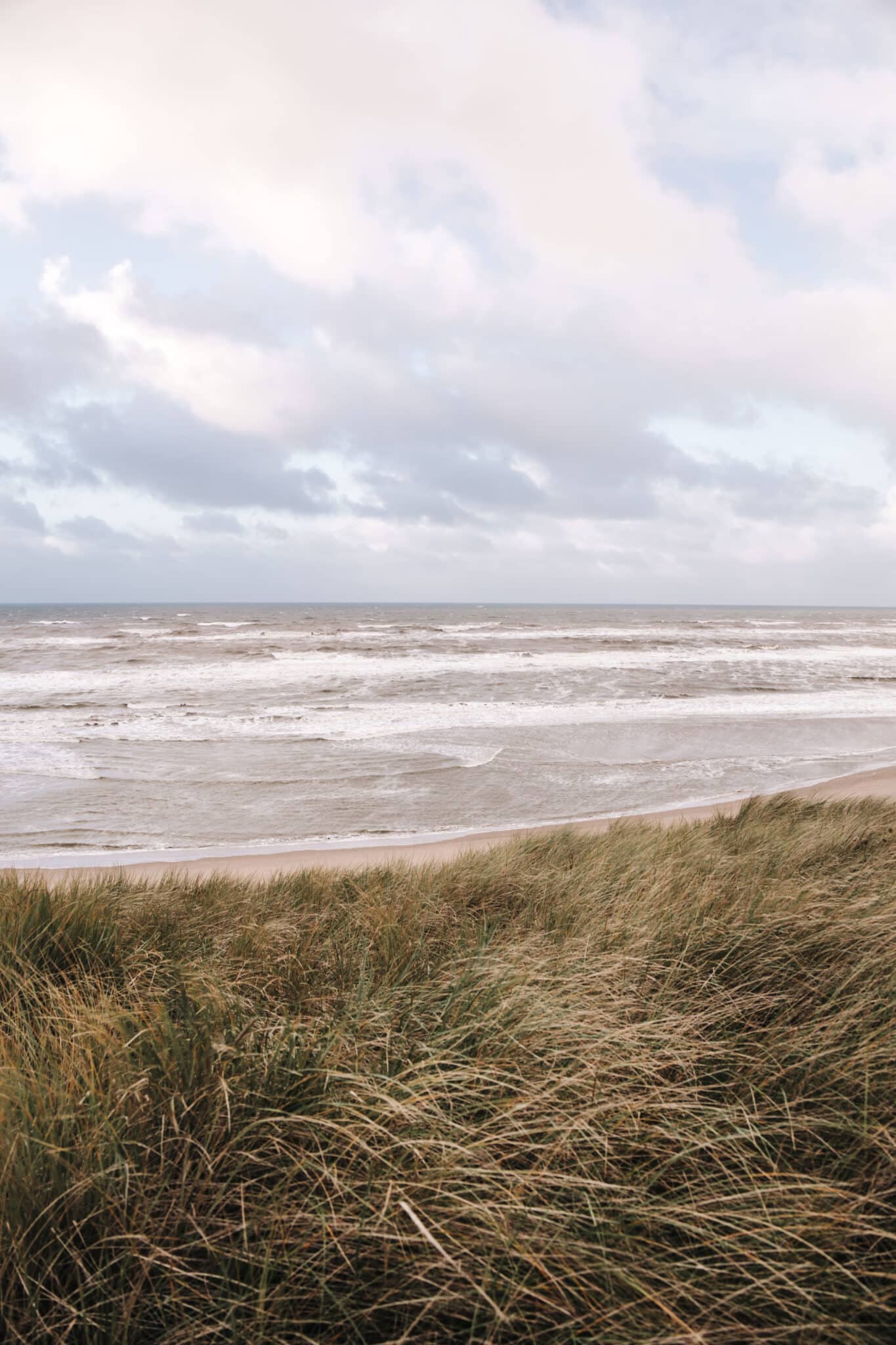Wilde zee in de winter van Zandvoort met de ruige duinen op de voorgrond