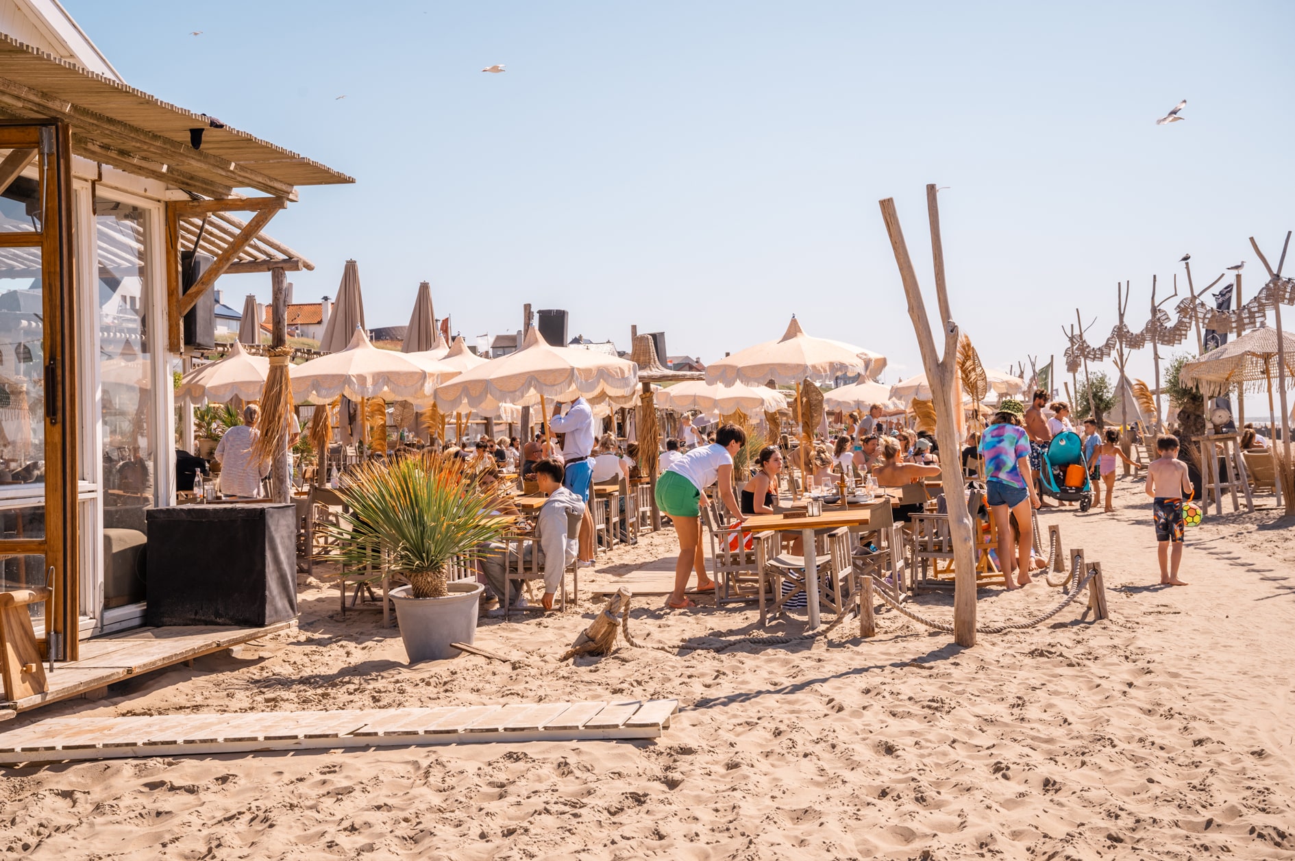 strandtenten-zandvoort Terras van strandpaviljoen Ubuntu op het zuidstrand op een zomerse dag.