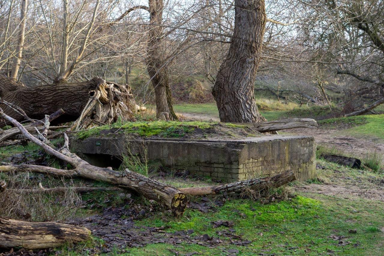 Bunker in de Amsterdamse Waterleidingduinen