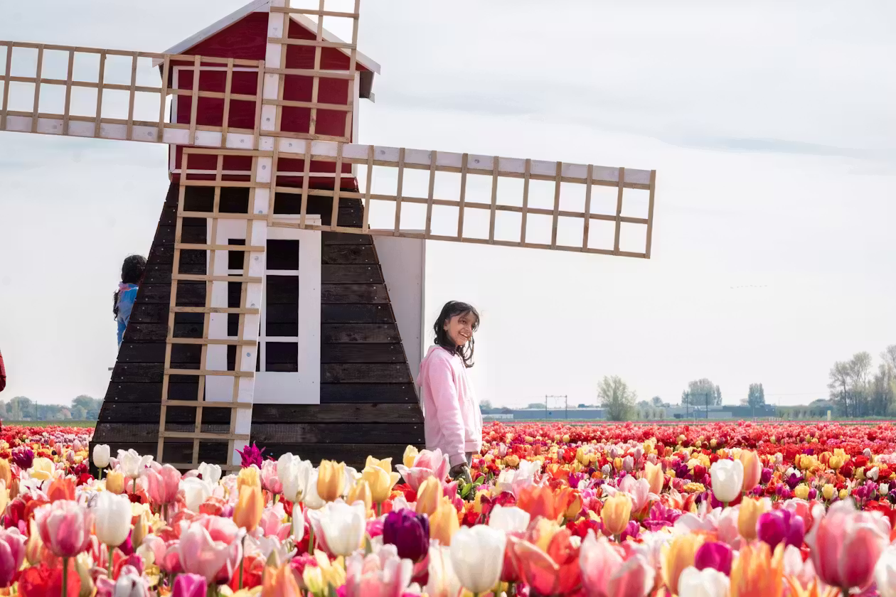tulip-experiencie-amsterdam